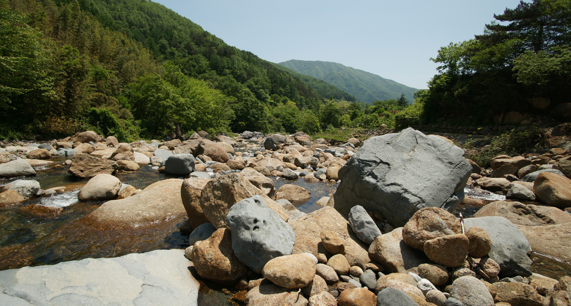 자연풀장(계곡) 3